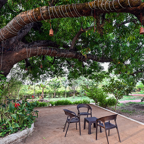 Palash Villa Homestay 